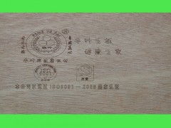 佛山膠合板 知名的膠合板批發商